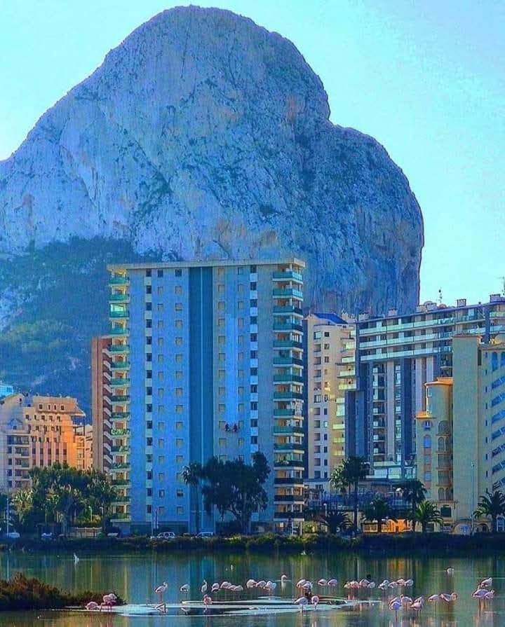 Апартаменты La Calma Lliber Экстерьер фото